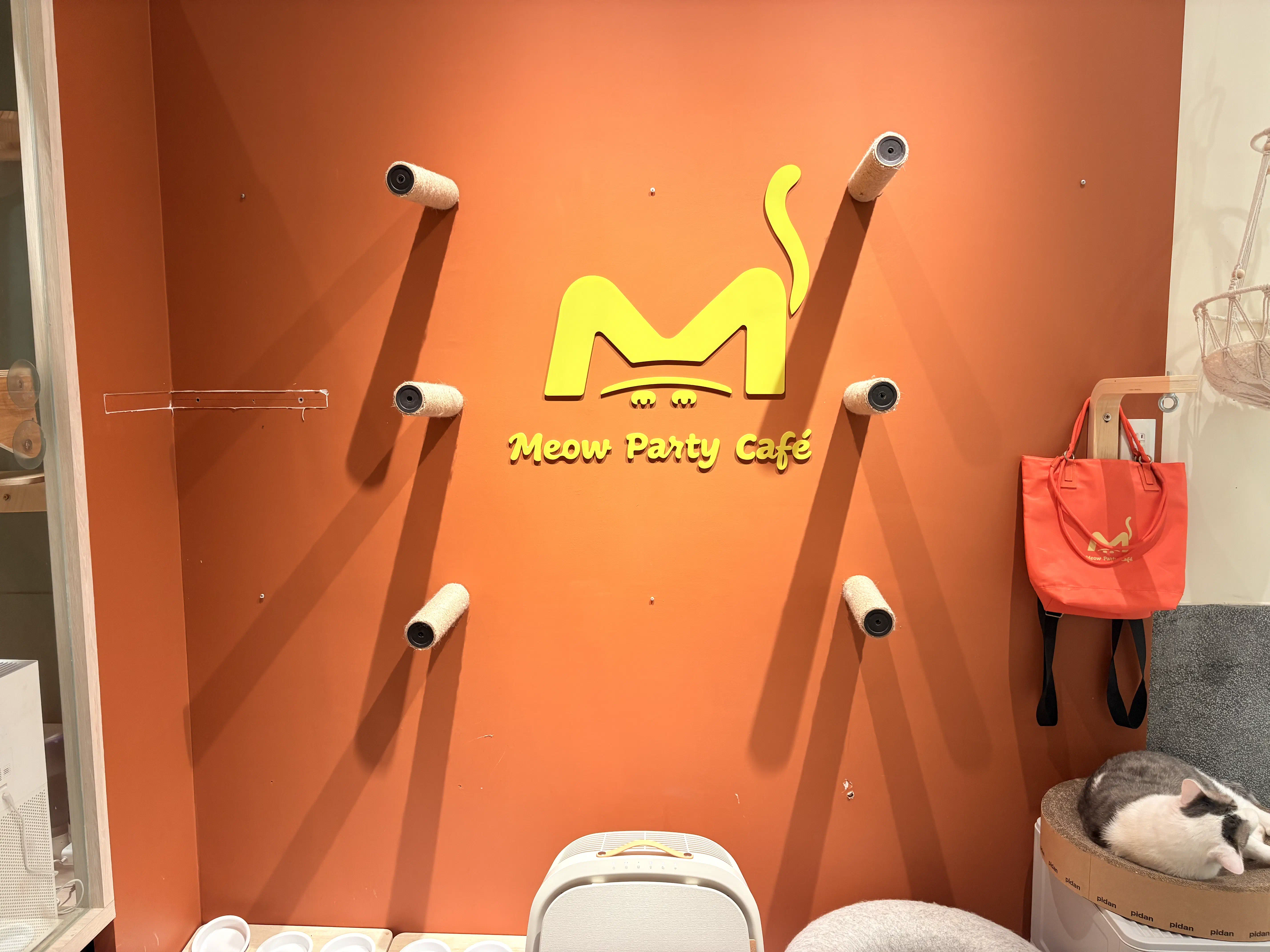 台北中山 | Meow Party Café 喵趴咖啡 - Featured image