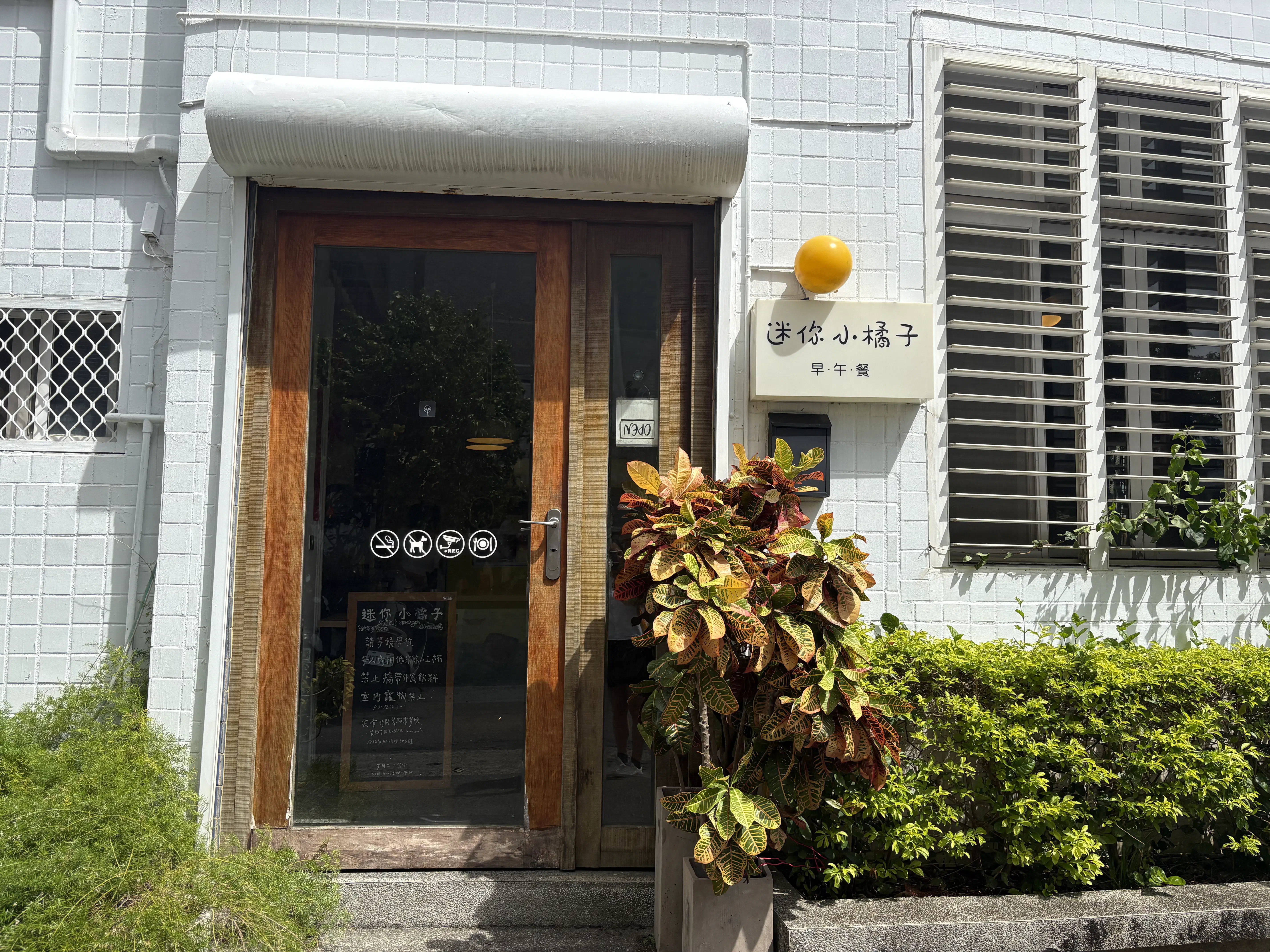 
          屏東恆春 | Mini Orange 迷你小橘子  - Featured image
        